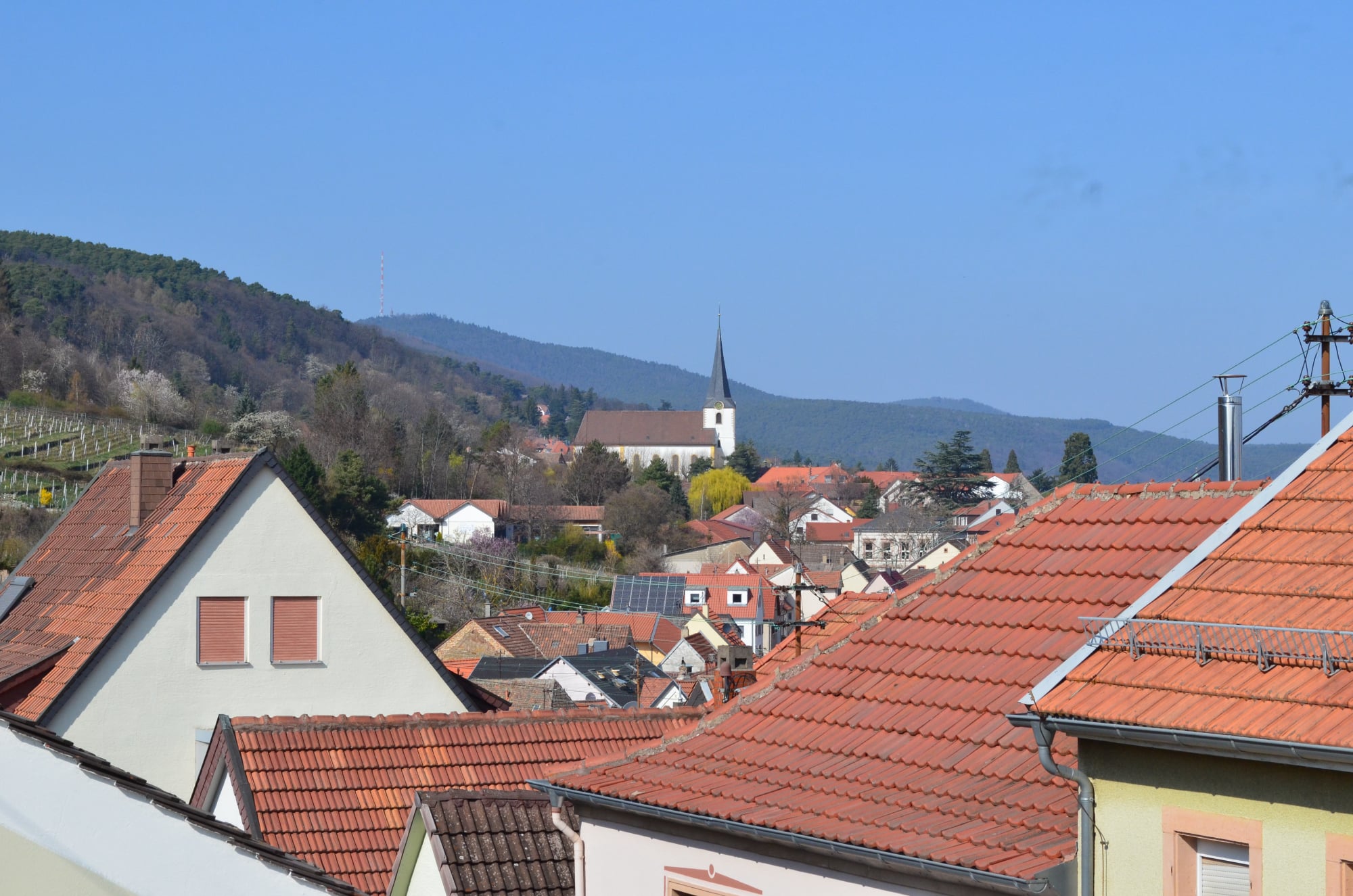 Wohnen im begehrten Stadtteil Hambach