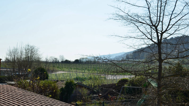 Wohnen direkt an den Weinbergen