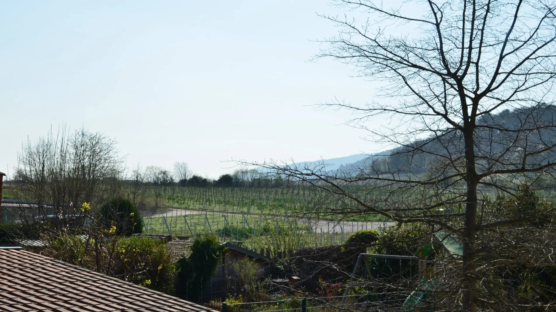 Wohnen direkt an den Weinbergen