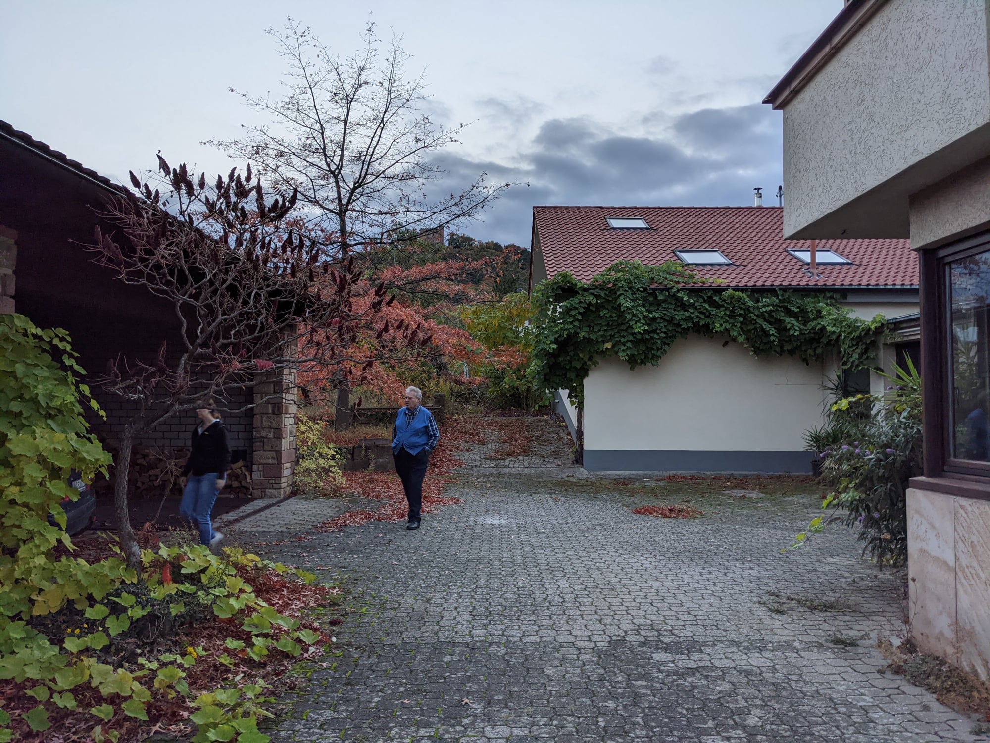 Garten